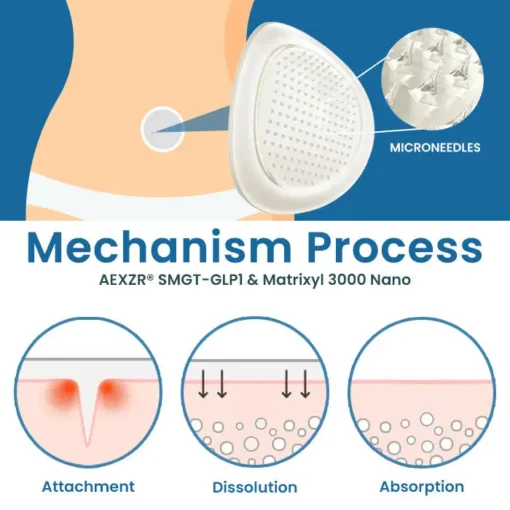 AEXZR® SMGT-GLP1 & Matrixyl 3000 Nano Microneedle Patch