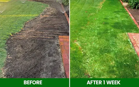 AEXZR® Compostable Lawn Grow Mat