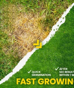 AEXZR® GoGreen Lawn Grass Sunny Spray