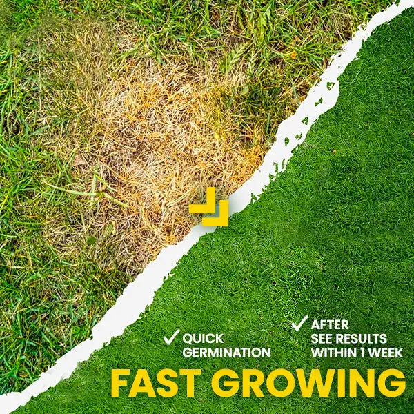 AEXZR® GoGreen Lawn Grass Sunny Spray