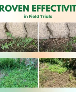 AEXZR® 5 in 1 Max Power Herbicide