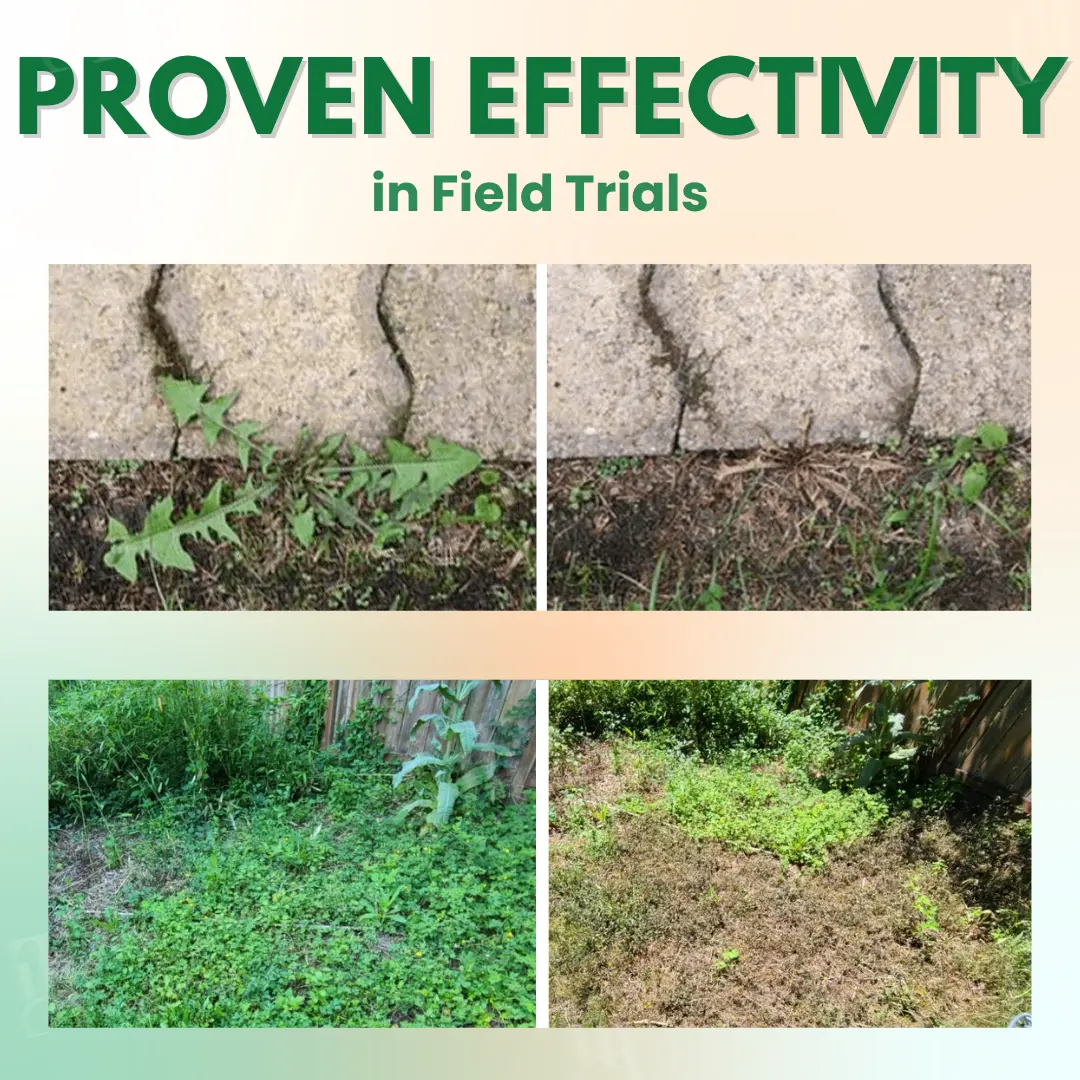 AEXZR® 5 in 1 Max Power Herbicide