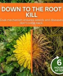 AEXZR® 2-in-1 Max Power Herbicide