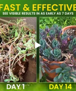 AEXZR® 2 in 1 Vita-Enzyme Repair & Nourish Plants