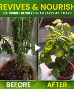 AEXZR® 2 in 1 Vita-Enzyme Repair & Nourish Plants