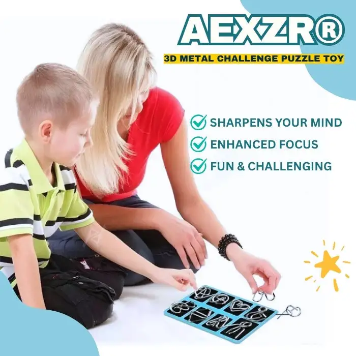AEXZR® 3D Metal Challenge Puzzle Toy
