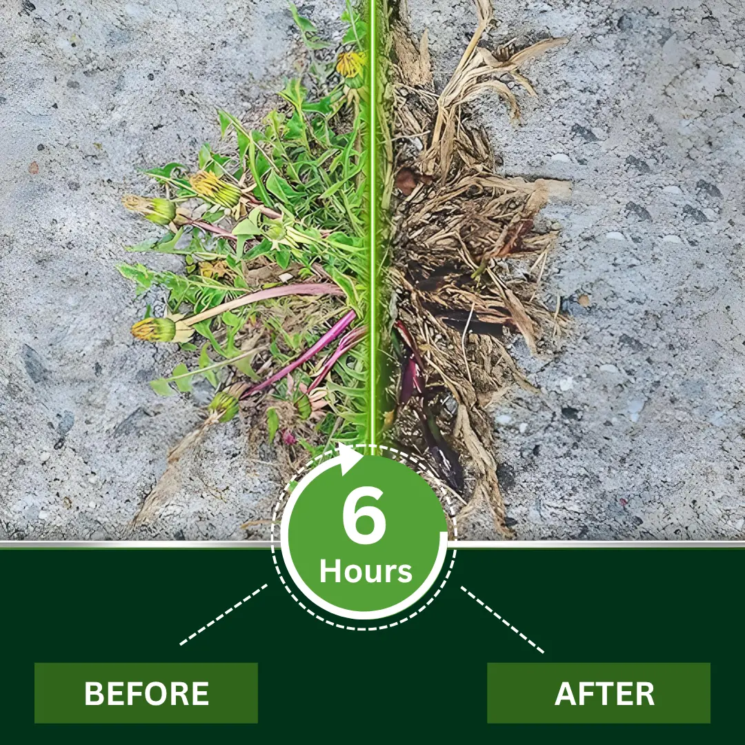 AEXZR® 2 in 1 Max Power Herbicide - 6-Hour Action No more waiting