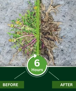 AEXZR® 2-in-1 Max Power Herbicide is 50 OFF for a limited time Strong results, better value