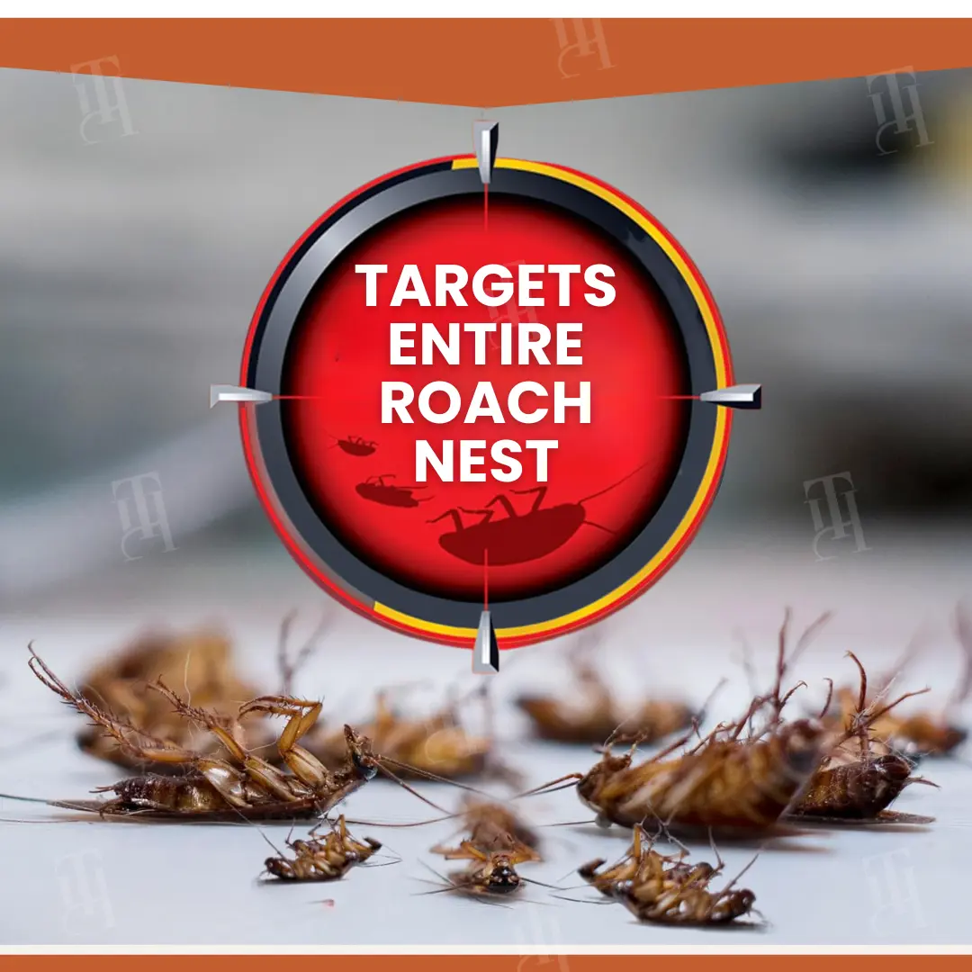 AEXZR® RoachBane Gel Bait Eliminate Roaches in 24 Hours