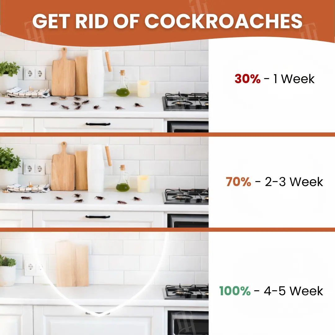 AEXZR® RoachBane Gel Bait Eliminate Roaches in 24 Hours