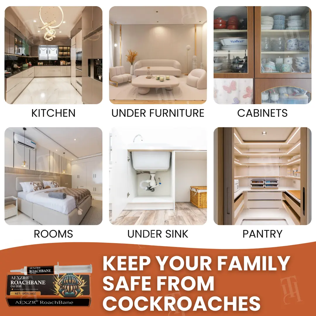 AEXZR® RoachBane Gel Bait Eliminate Roaches in 24 Hours