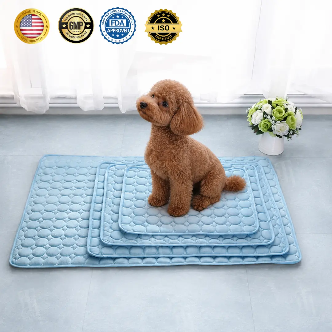 AEXZR® Advanced Ortho-Cool Pet Mat | Thermochromic Safe Cooling Pad