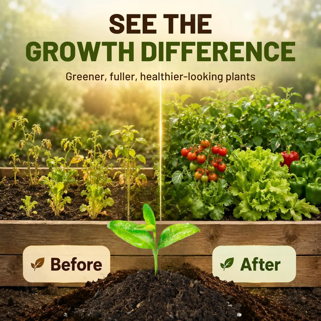 AEXZR® BioChar-Grow Soil Activator